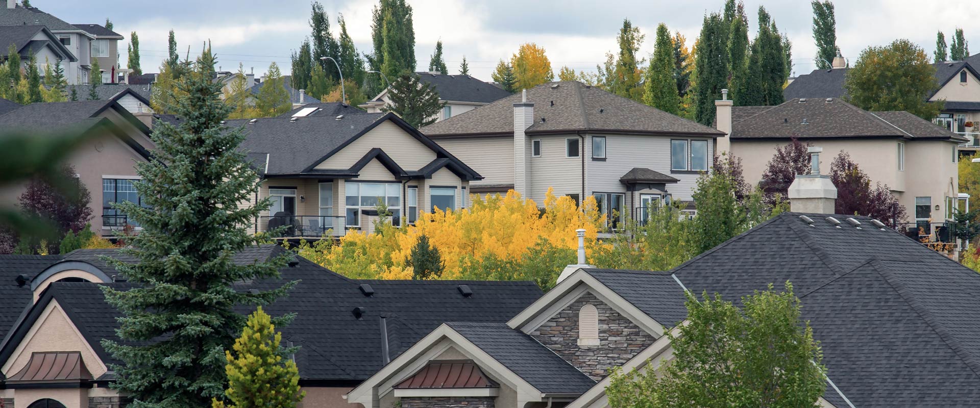 Calgary community