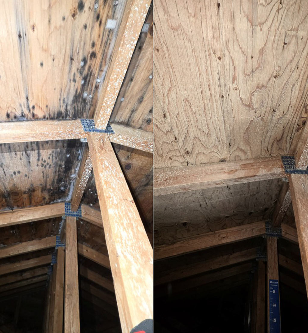 Attic mold remediation side by side