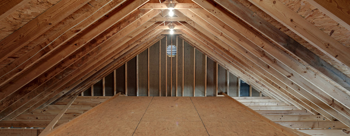 Mold free attic hero